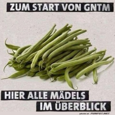 Start-von-GNTM.jpg von Annelie-68
