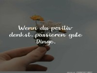 Der Optimismus-Blumenstrau�