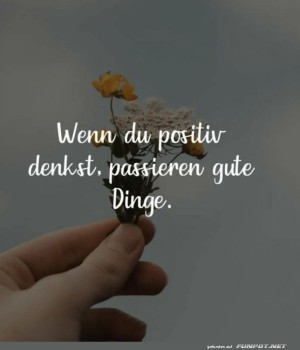 Der-Optimismus-Blumenstrau�.jpg auf www.funpot.net