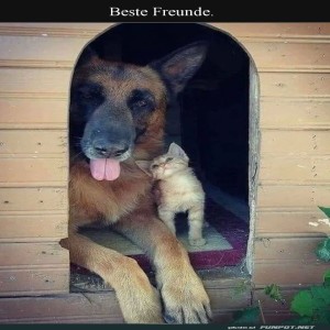 Gro�er-Freund,-kleines-Geheimnis.jpg von Mareike-21
