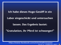 Hugo-Gesoeff