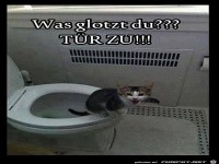 was-glotzt-du
