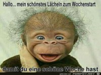 Mein schönstes Lächeln