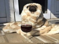 So l�sst es sich aushalten