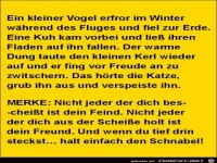 ein kleiner Vogel erfror im Winter.......