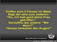 Treffen sich 2 Frster im Wald