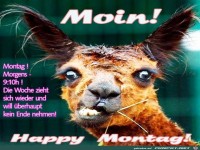 Montag