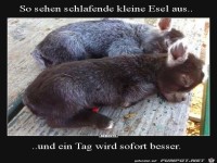 und ein Tag wird sofort besser....