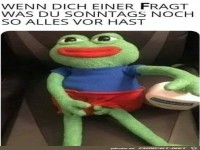 Was ich sonntags noch so vor habe