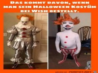 Kostm bei Wish bestellt