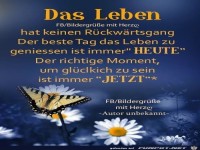 Das Leben hat keinen Rckwertsgang