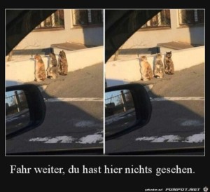 Fahr-weiter.jpg auf www.funpot.net