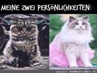 Zwei Pers�nlichkeiten