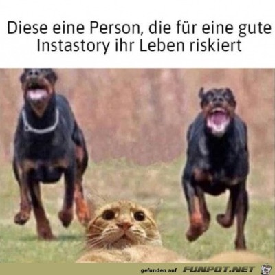 Risiko.jpg von Sena