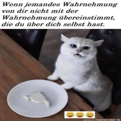 Was-soll-das-denn?.jpg von Runa