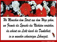 Wo Menschen dem Streit 2