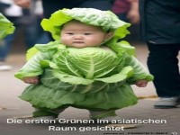 Asiatischer Grüner
