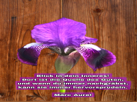 blick in dein inneres