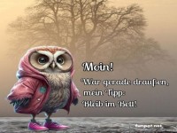 Eule im Morgenmantel gibt Schlafempfehlung!