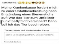 Unfallbericht f�r einen Bienenstich!