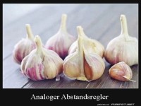 Nat�rlicher Abstandshalter