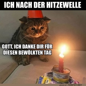 Katze-feiert-Schlechtwetter-Geburtstag.jpg von SexOnTheBeach