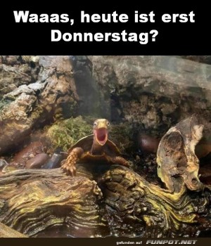 Erst-Donnerstag.jpg auf www.funpot.net
