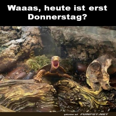 Erst-Donnerstag.jpg von Klemens
