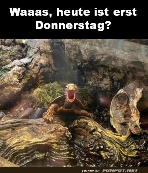 Erst-Donnerstag.jpg auf www.funpot.net