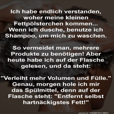 Shampoo-Logik:-Fettp&ouml;lsterchen-vermeiden!.jpg von Joeline
