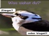 weiter