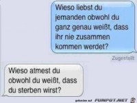 SMS- Wieso liebst du...