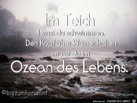 im Teich