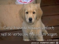 gute freunde kommen einfach mal so vorbei