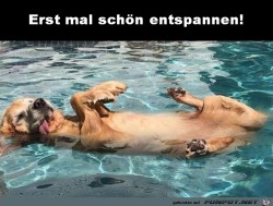 Erst-mal-entspannen.jpg auf www.funpot.net