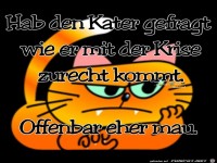 Hab den Kater gefragt...