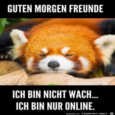 Guten-Morgen.jpg von Susan