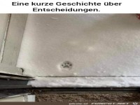 Schnell entschlossen
