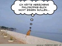 Späte Einsicht