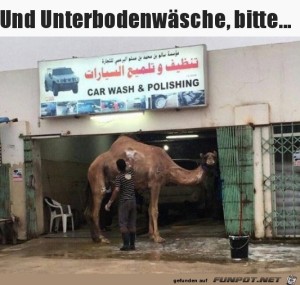 Einmal-waschen.jpg auf www.funpot.net