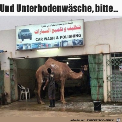 Einmal-waschen.jpg von Runa
