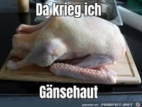G�nsehaut
