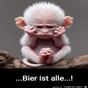 fun-Bild: Bier ist alle