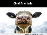 Gr�� dich