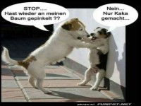 Hundegespr�ch
