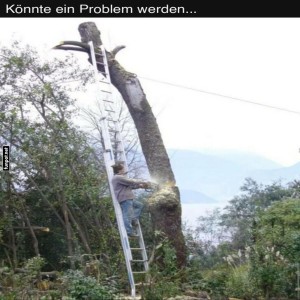 fun-Bild: Baumfällung auf wackeliger Leiter