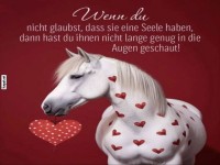 Liebes-Pferde-Magie im Herzen!
