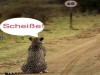 weiter