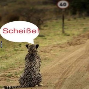 fun-Bild: Schneller als erlaubt!
