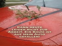 Naturkatastrophe im Kleinformat!